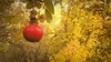 Paeiz93 (11)_resize.JPG